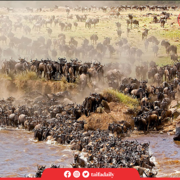 Serengeti: “Africa’s Leading National Park”