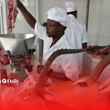 73 licenses issued for bushmeat butchers in 16 regions , wishing to register one?