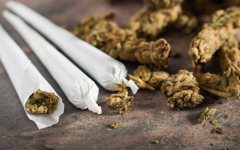 Tanzania amongst top 10 African countries that smoke the most cannabis