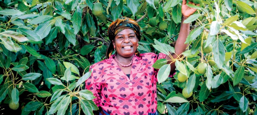 How TICTS became a barrier to Tanzania’s horticulture industry.