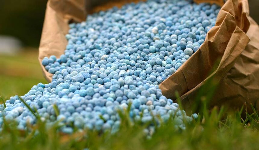 Tanzania set to increase fertilizer uptake to 500,000 tonnes.