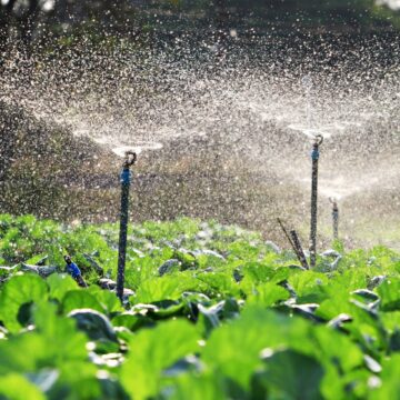 Tanzania to set up 13 irrigation schemes for agriculture in Mbeya