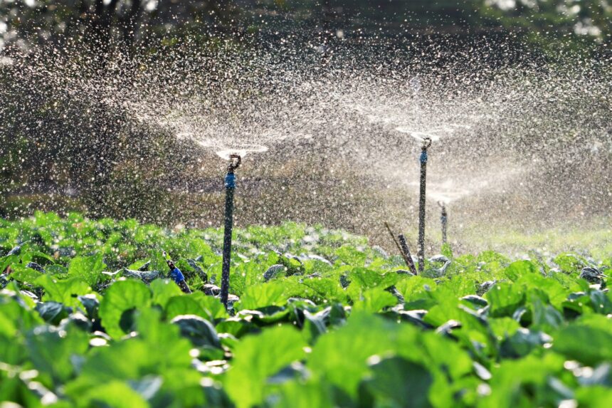 Tanzania to set up 13 irrigation schemes for agriculture in Mbeya