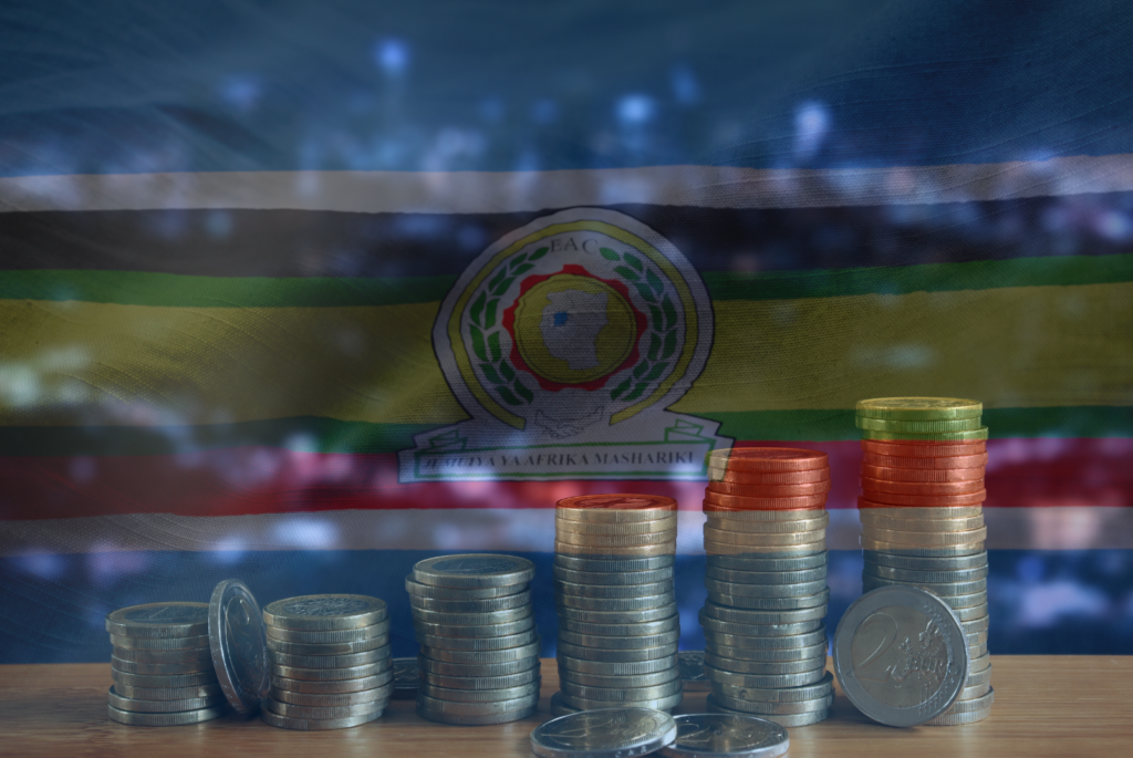 As EAC Approaches To Single Currency By 2024 Tanzania Proposed To Host   Tili 4 1024x685 