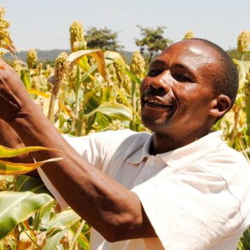 Government invests TZS 8bn/- to improve quality seeds production.