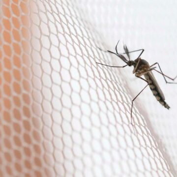 Tanzania sets five-year plan to end Malaria endemic