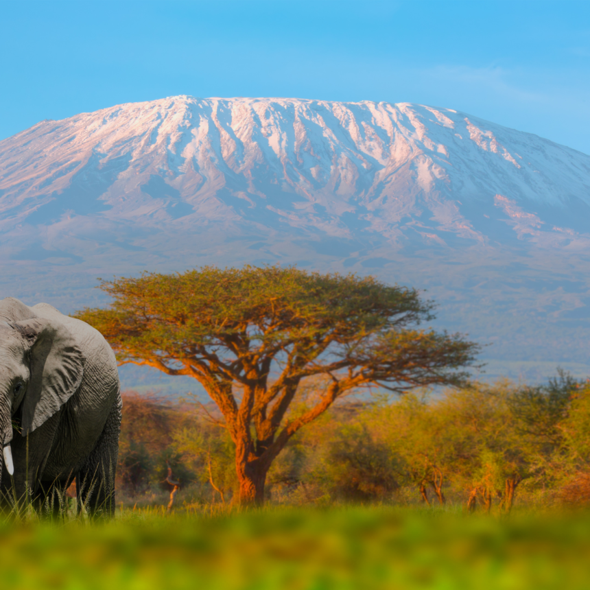 US Firm Titan Lithium Expands Operations in Tanzania, Finds Lithium Deposits with High Grades near Mt Kilimanjaro