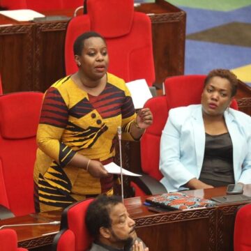 MP calls for more transparency in leadership appointments through law amendment.