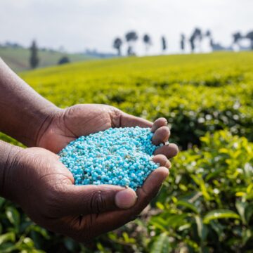 Enhancing Fertilizer Supply Chain in Tanzania: African Development Bank’s Investment in Agribusiness and Smallholder Farmer Support