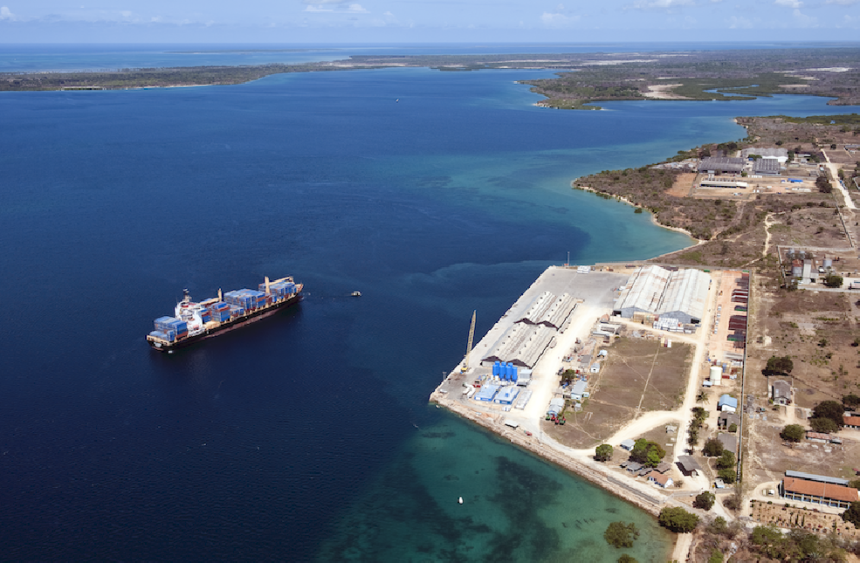 Tanzanian Ports Authority Announces Two Major Port Development Bids Amidst Debates Over Dubai Agreement.