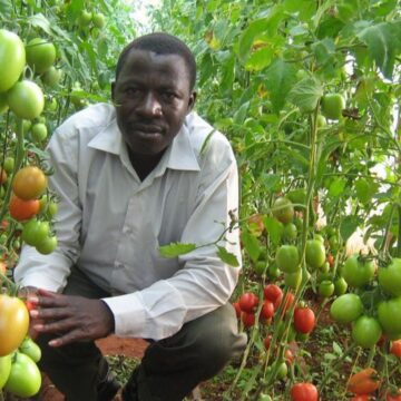 Tanzania’s Call: Boosting agriculture through enhanced extension services.