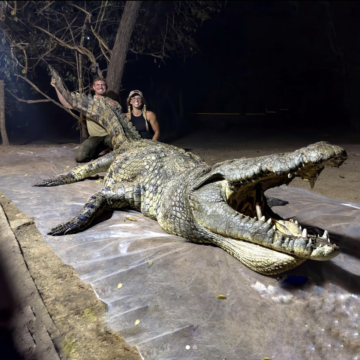 Is Trophy Hunting Legal in Tanzania? Can You Hunt a Crocodile Legally?