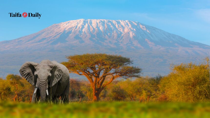 Tanzania’s tourism sector thrives with a 37.5% surge in receipts and 27% rise in arrivals.