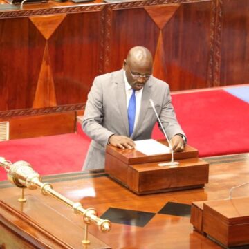 Govt Collects TZS 192.78B from Online Business