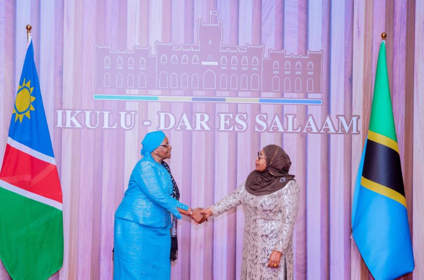 Tanzania, Namibia Urged to Boost Economic Ties