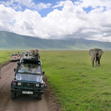 Tourism Numbers Soar, Surpassing CCM Manifesto Target