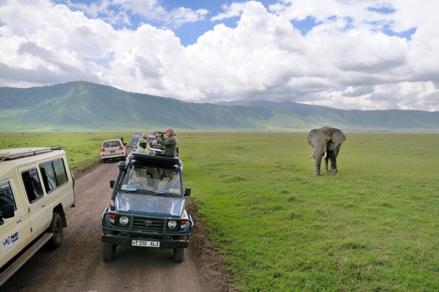 Tourism Numbers Soar, Surpassing CCM Manifesto Target