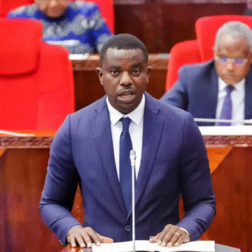 Tanzania Warns Foreigners Against Destabilizing Activities