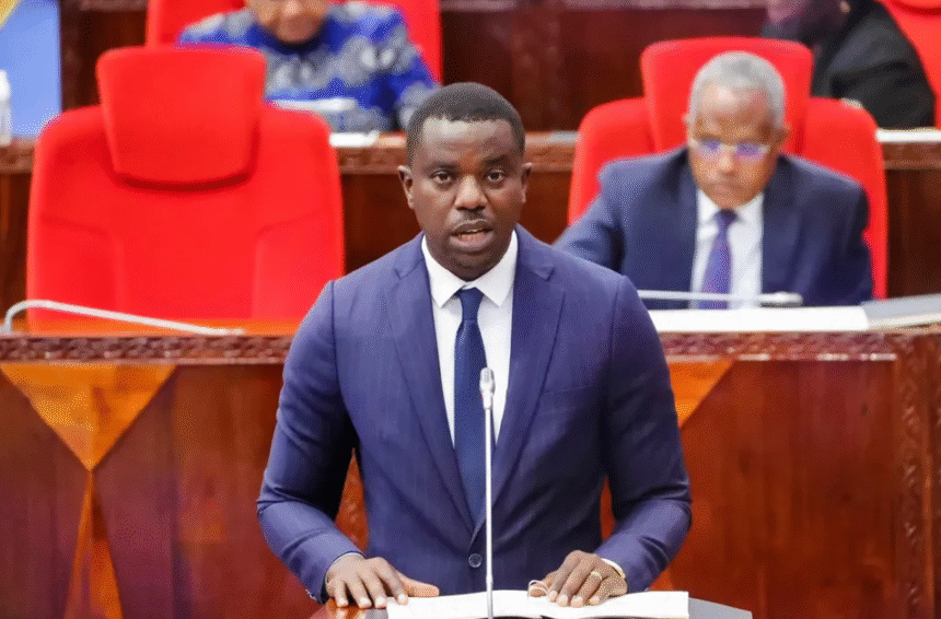 Tanzania Warns Foreigners Against Destabilizing Activities