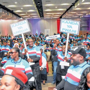 Registrar Nullifies Chadema Appointments After Internal Dispute