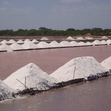Government Set to Introduce Special Salt Production License