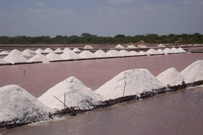 Government Set to Introduce Special Salt Production License