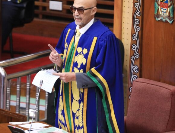 zungu-pic Deputy Speaker Zungu bids farewell as 12th parliament nears end