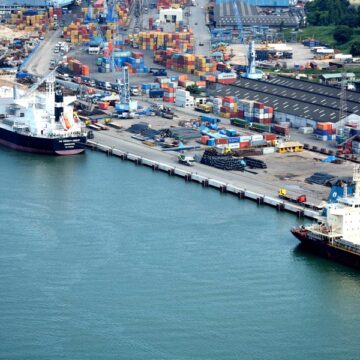 Dar es Salaam Port reaps benefits from private sector investment, boosting efficiency and revenue