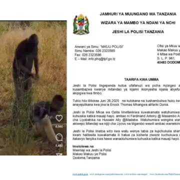 Two arrested in Geita over beating death of young man accused of theft