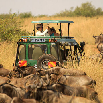 Tourism overtakes gold as Tanzania’s top foreign exchange earner
