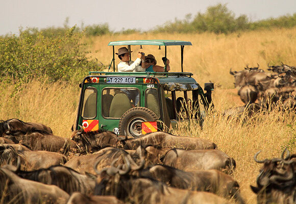 safari_in_serengeti Tourism overtakes gold as Tanzania’s top foreign exchange earner