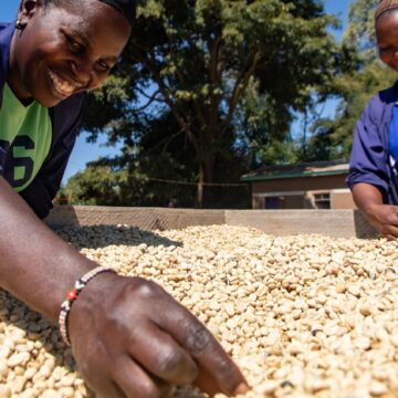 Farmers in Mbinga Hail Fertiliser Subsidies and Development Gains.