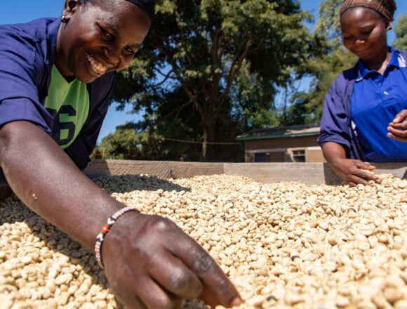 Farmers in Mbinga Hail Fertiliser Subsidies and Development Gains.