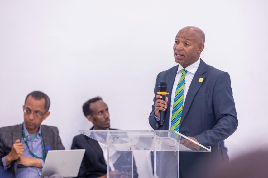 Zaidi ya dola bilioni 2 zinahitajika kutekeleza Mkakati wa Nishati Safi ya Kupikia Afrika.