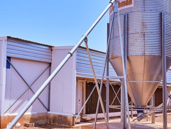 TADB Support Transforms Poultry Farming in Kigoma Region.