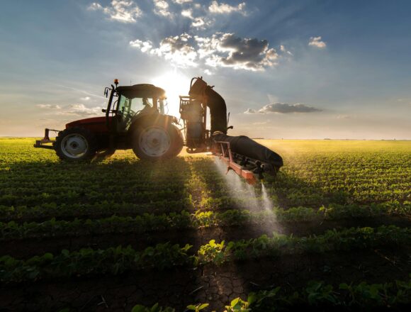 getty-images-vesv_5ahcu-unsplash Tanzania seeks to reform agribusiness by adding value to its agricultural and livestock products.