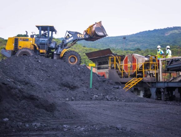 Tanzania Moves to Hand Mining Rights to Local Investors After Licence Crackdown