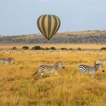 Tanzania Positions Itself to Capture Growing Global Tourism Market