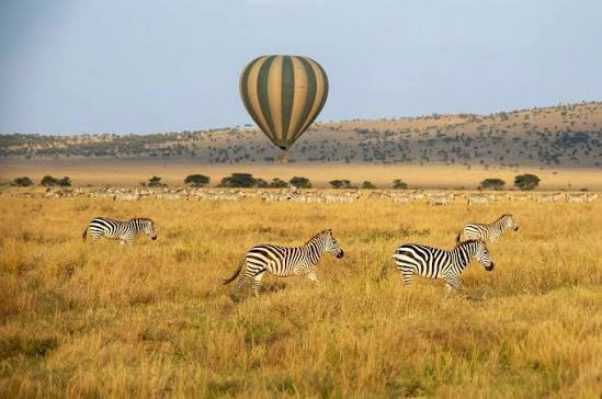 Tanzania Positions Itself to Capture Growing Global Tourism Market