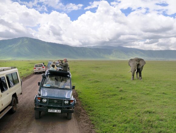 Cost of Travel in Tanzania: A Practical Budget Breakdown