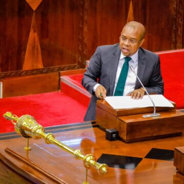 Tanzania links 252 government systems in digital reform drive.