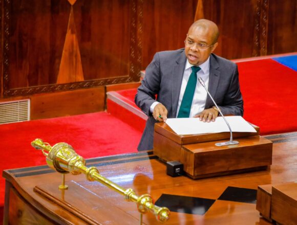 Tanzania links 252 government systems in digital reform drive.