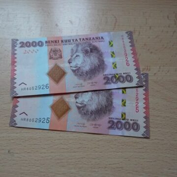 large BoT: Deliberately damaging banknotes attracts a TZS 500,000 fine