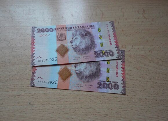 large BoT: Deliberately damaging banknotes attracts a TZS 500,000 fine