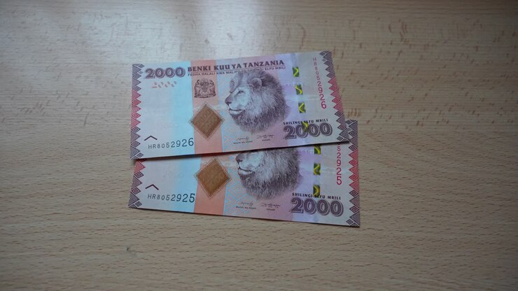 large BoT: Deliberately damaging banknotes attracts a TZS 500,000 fine