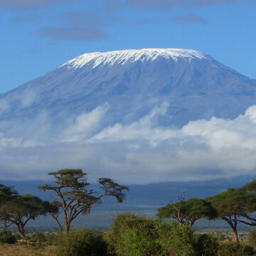 cropMount-Kilimanjaro Kilimanjaro wildfire more than 90% contained, says Minister