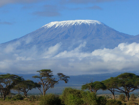Kilimanjaro wildfire more than 90% contained, says Minister