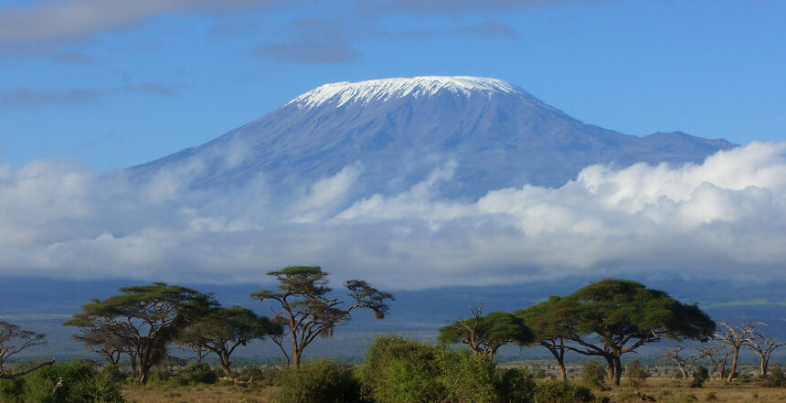 Kilimanjaro wildfire more than 90% contained, says Minister