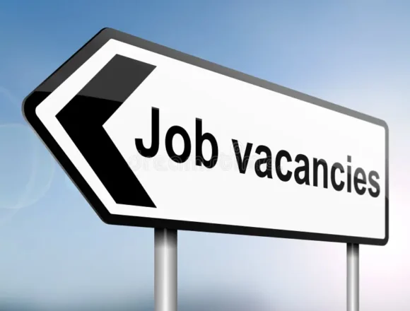 Government announces 678 job vacancies across various sectors