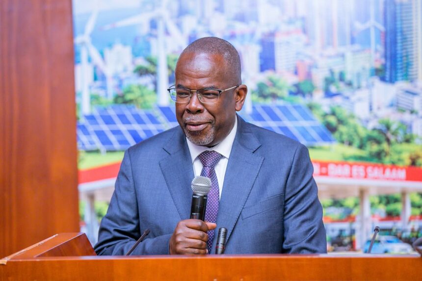 Tanzania needs TZS 31 trillion to tackle climate change